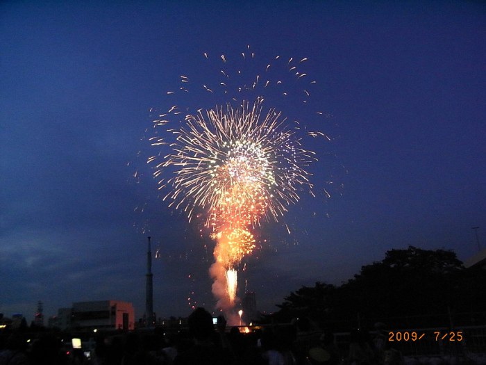 2012年 諏訪湖祭湖上花火大会 | In The Mirror Best Business Hotels in Singapore for Meetings, Networking, and Comfort