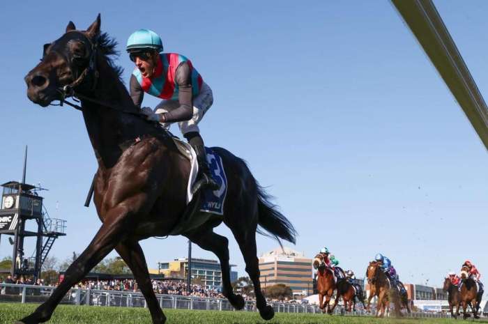 'Dominant display' - Antino way too good in Toorak romp