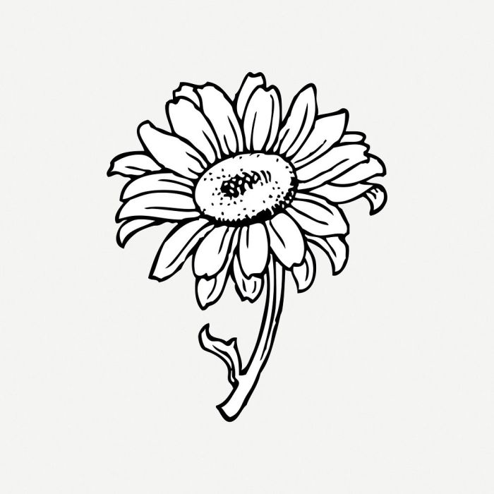 3d Flower Clip Art Free Stock Photo - Public Domain Pictures